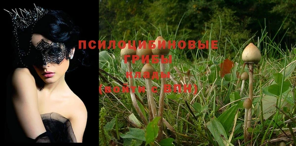 мдпв Мегион