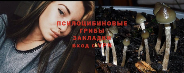 мдма Медногорск